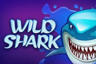 Wild Shark